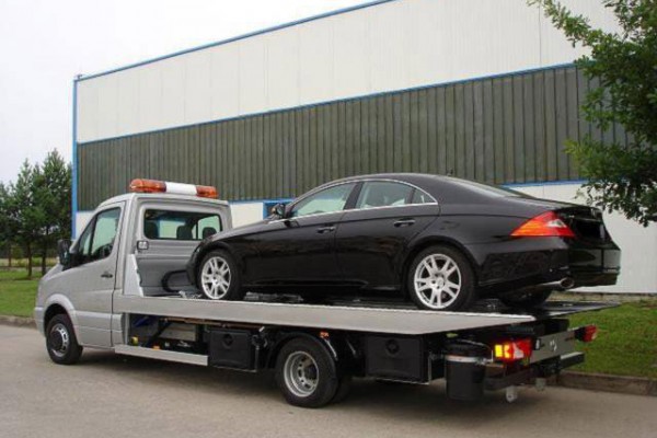 s600_2085.jpg